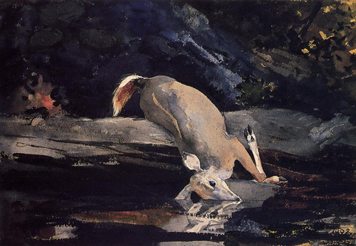 (image for) Handmade oil painting Copy paintings of famous artists Winslow Homers Paintings Fallen Deer